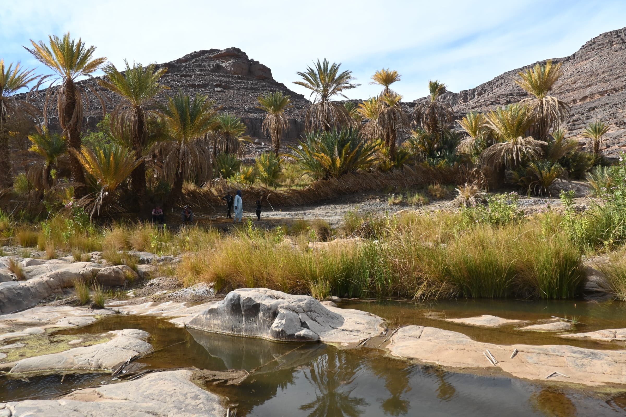 Essandilène & Oasis d'Ihrrir